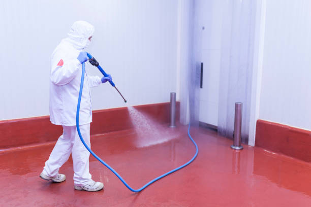 Best Driveway Pressure Washing  in Kenyon, MN